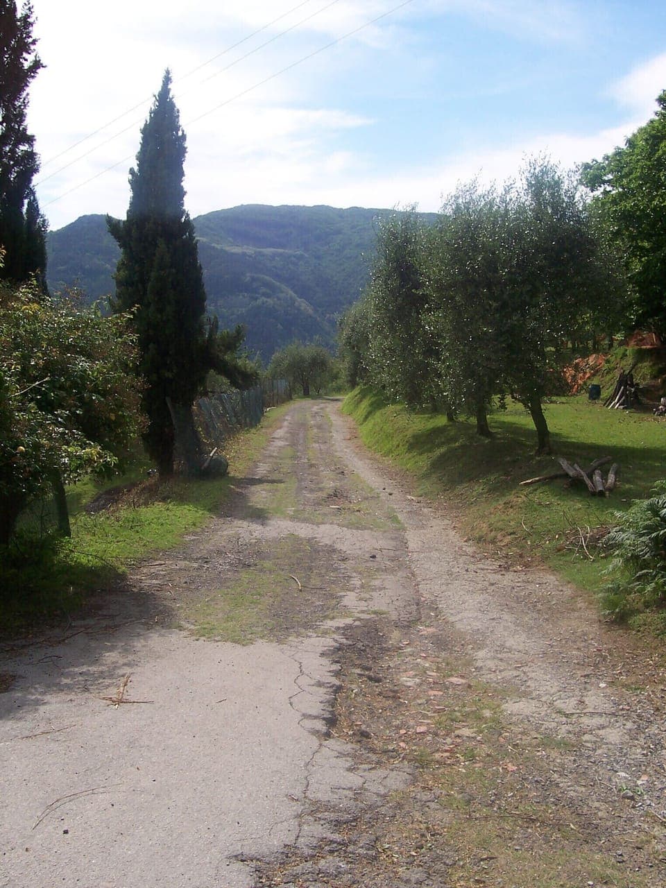 the road up to the house