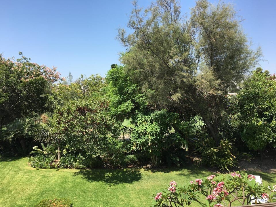 
Views from the terrace of the main bedroom