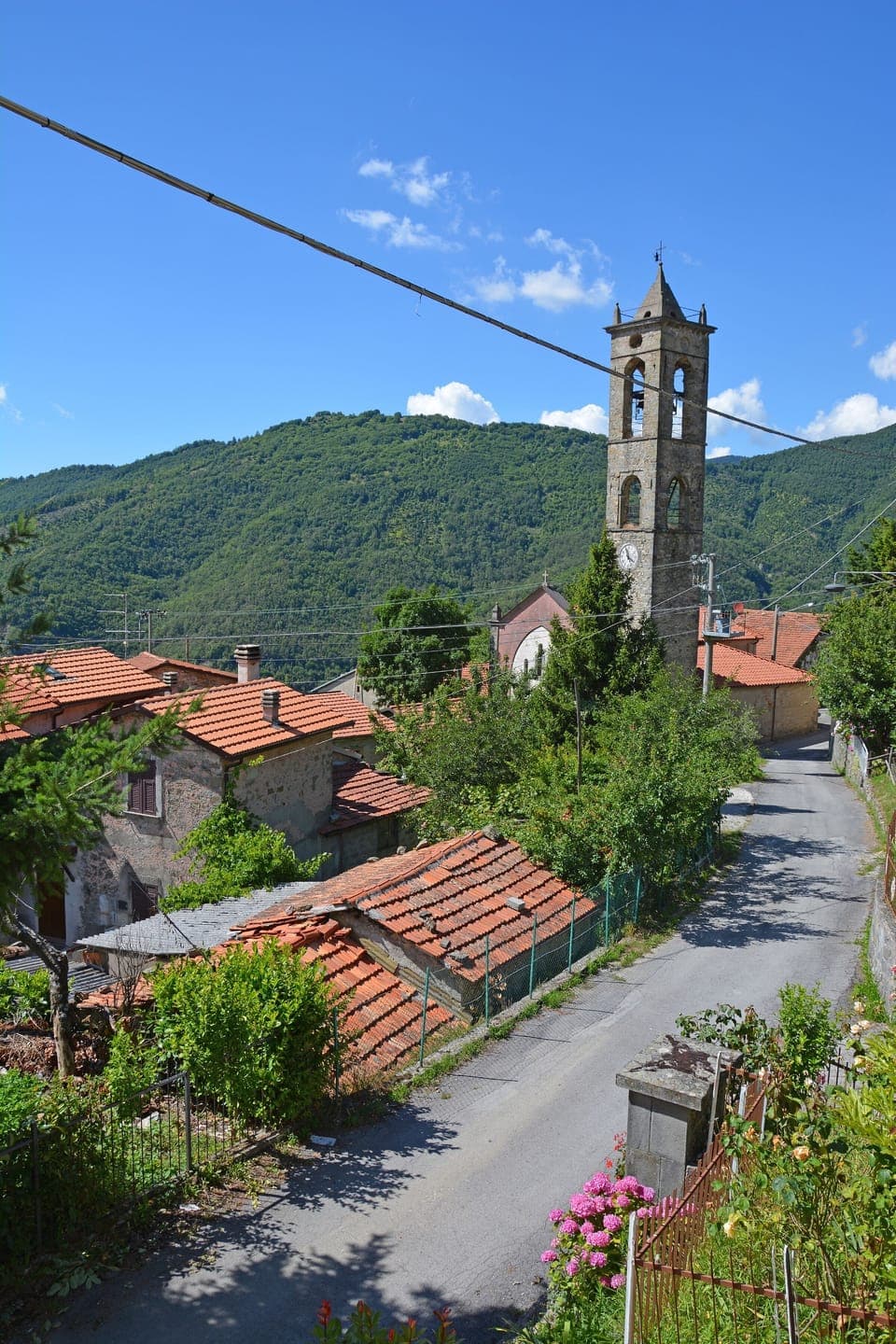 View From the front of the house