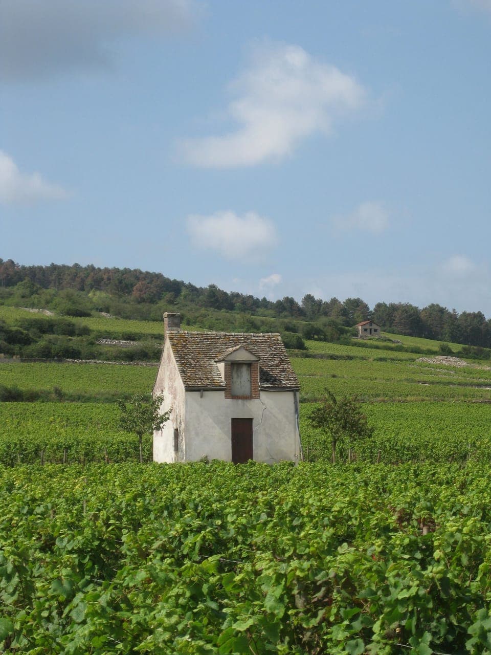 Vineyard workers hutch near Beaune.
