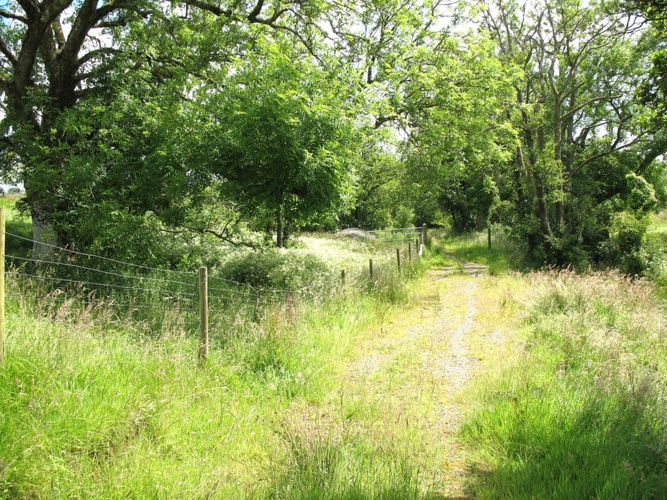 footpath opposite cottage
