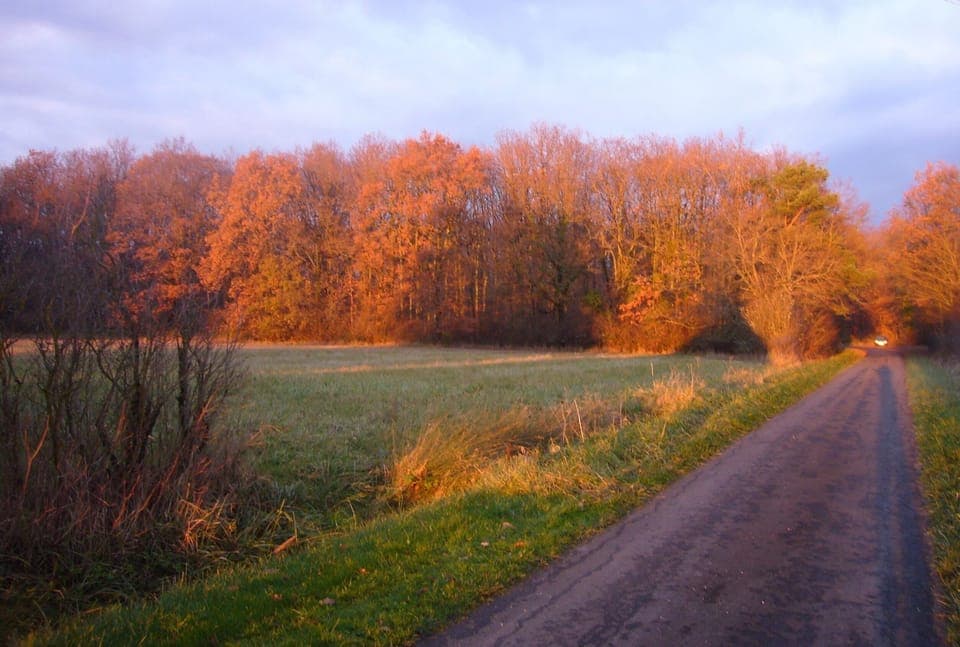 Access Road to the Property