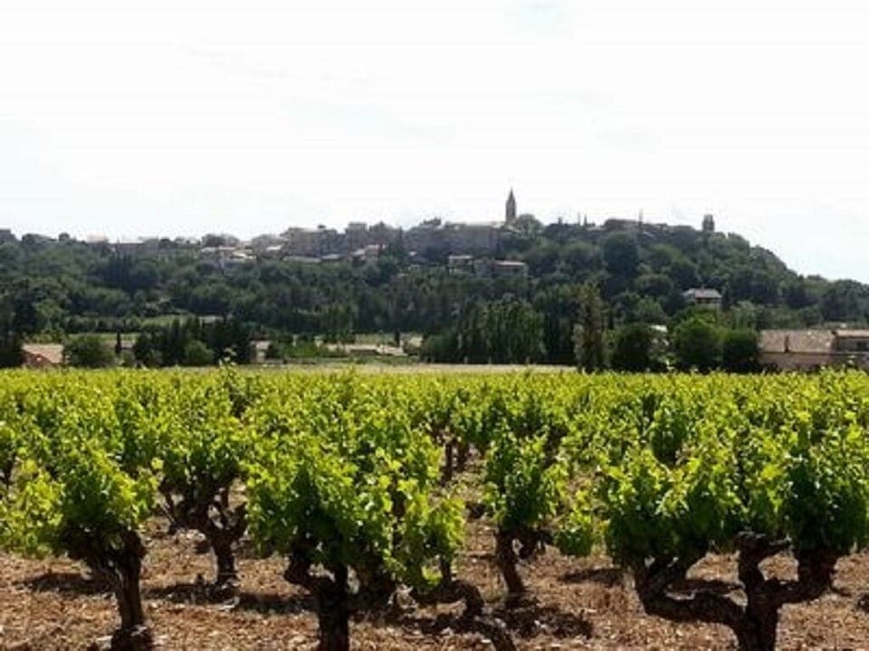The hilltop village of Castillon du Gard.