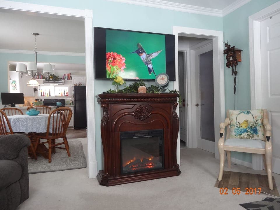 Your TV and fireplace for inclement weather. Check out the swan chair. ☺