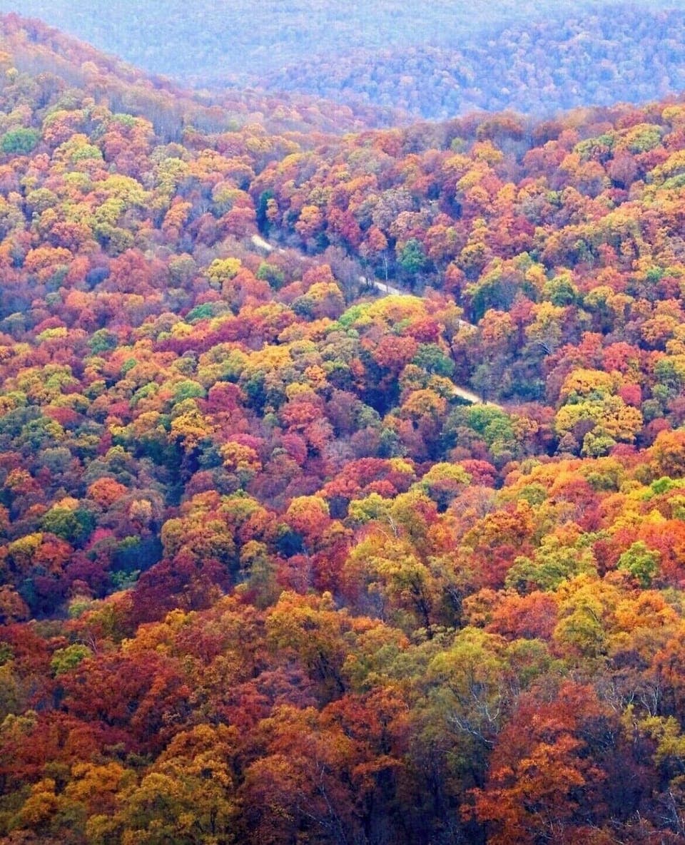 Area fall foliage