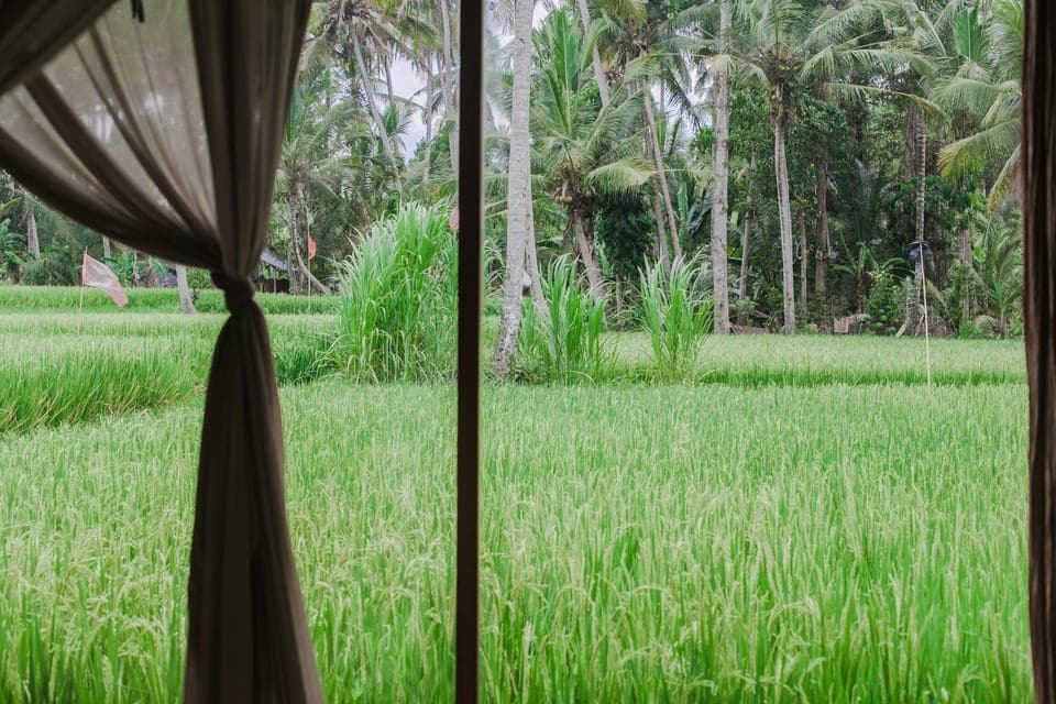 Amazing Luxury Designer Villa in Ubud