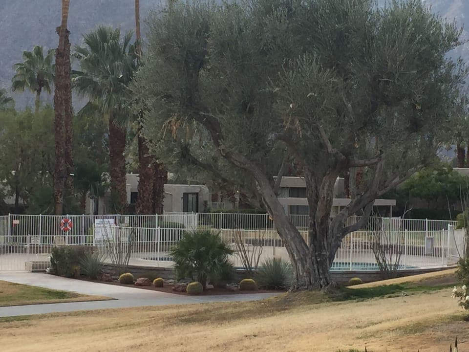 One of three community pools