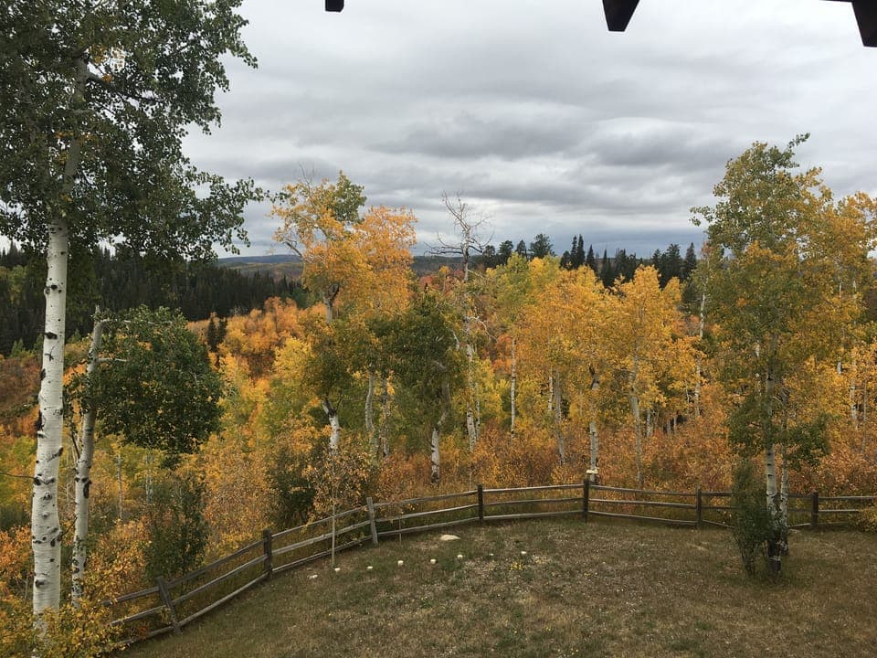 Nice Fall Day