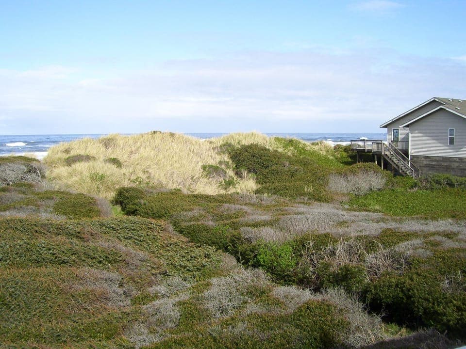 VIEW TO THE NORTHWEST PAST OUR BEACH COMBER HOUSE