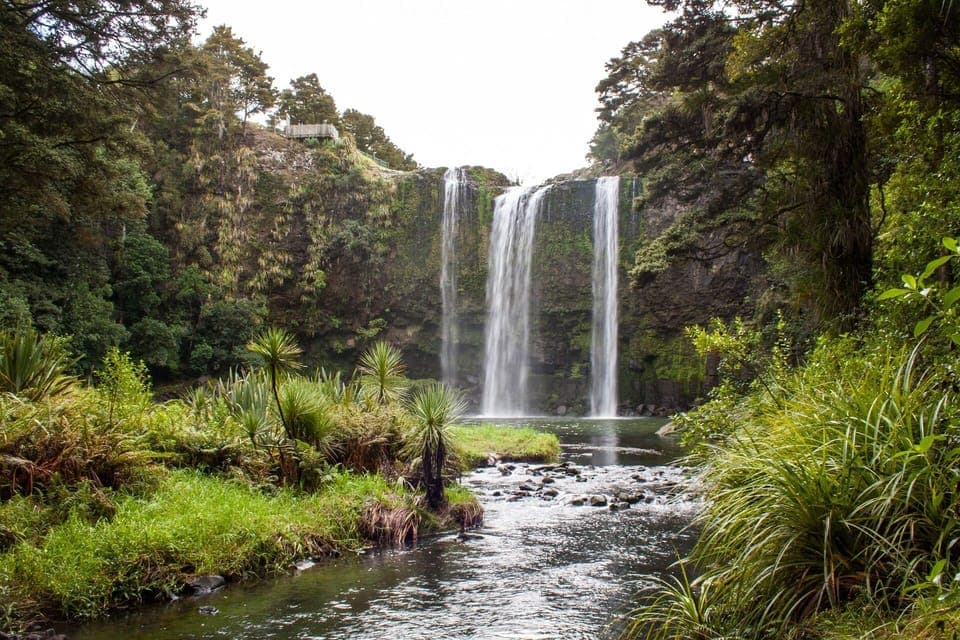 Whangarei Falls - AH Reed is only a 5 minute drive away.