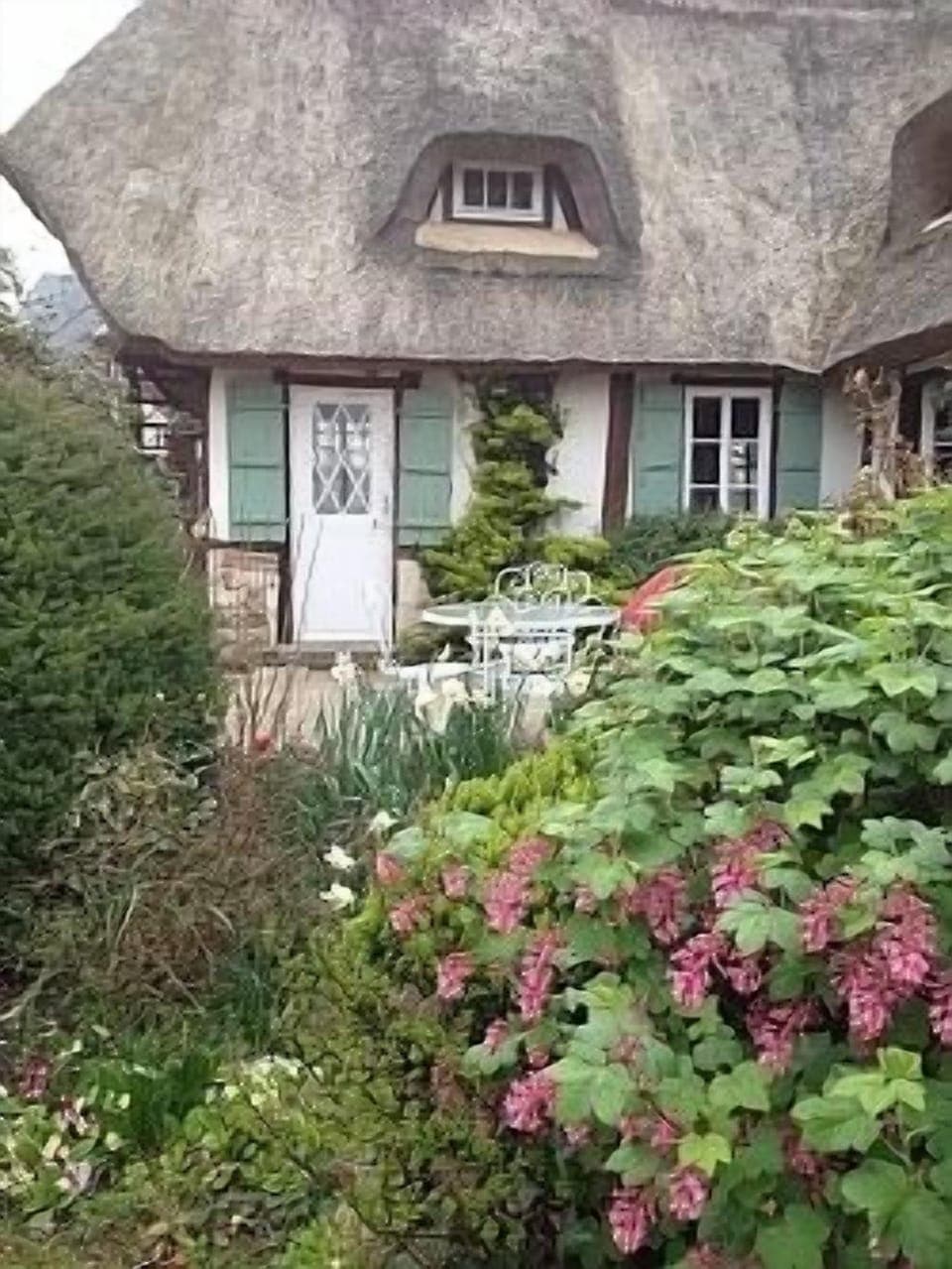 Spring flowers and herb garden
