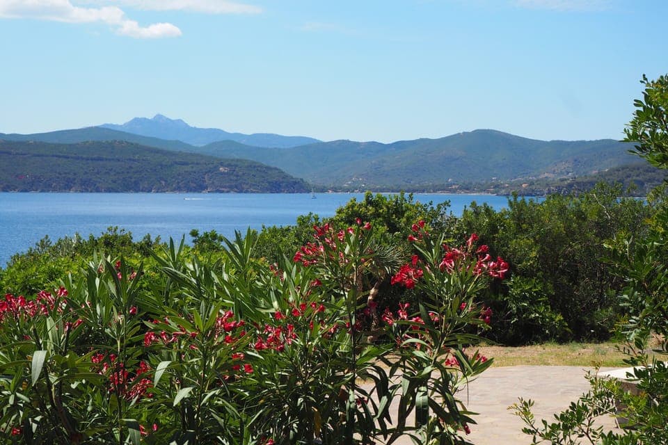 View from terrace and garden