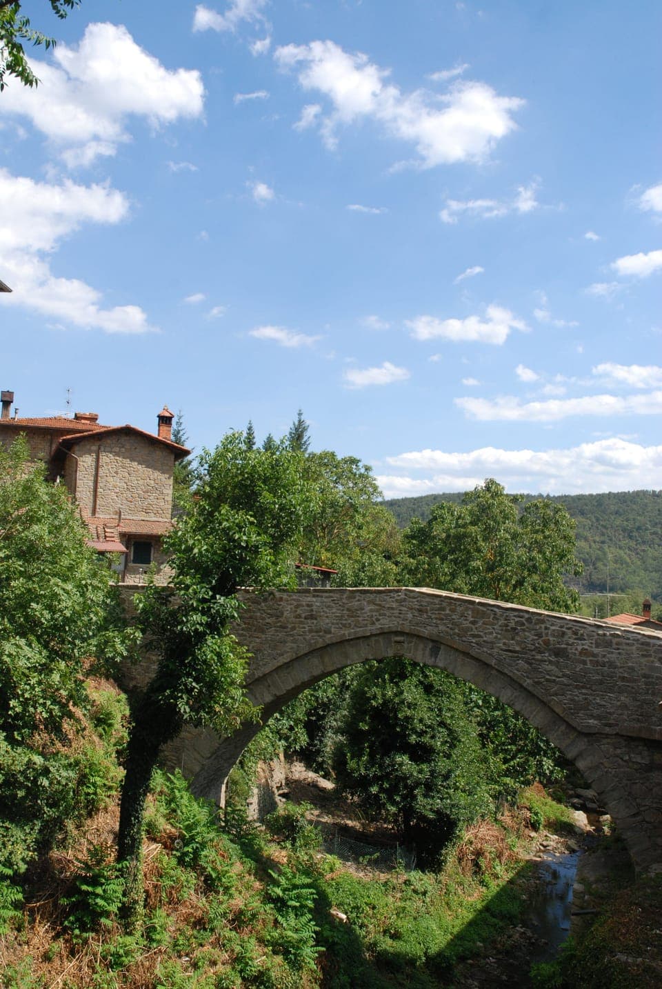 The bridge of Ponte alla Piera