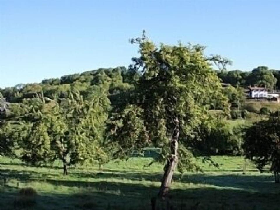 The Folly from the Ancient Orchard in the valley