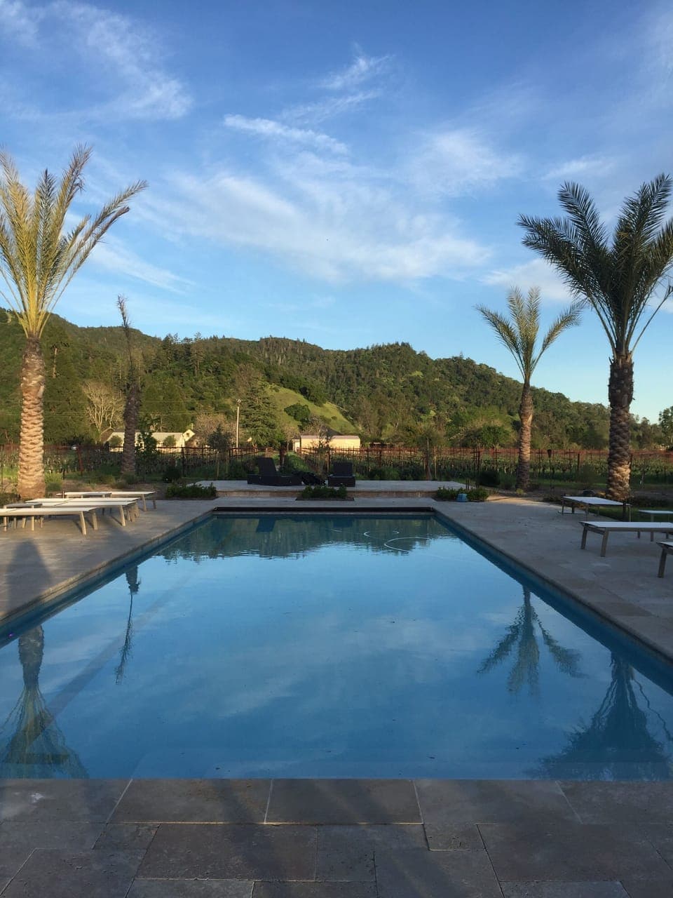 The Pool 