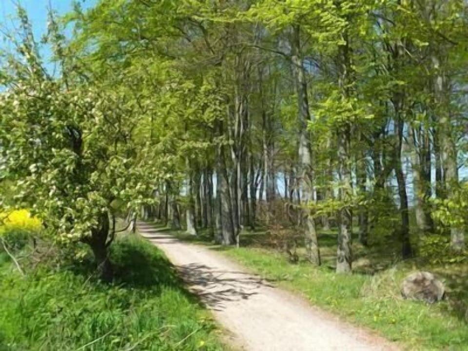 Town/city in general. Picture 23