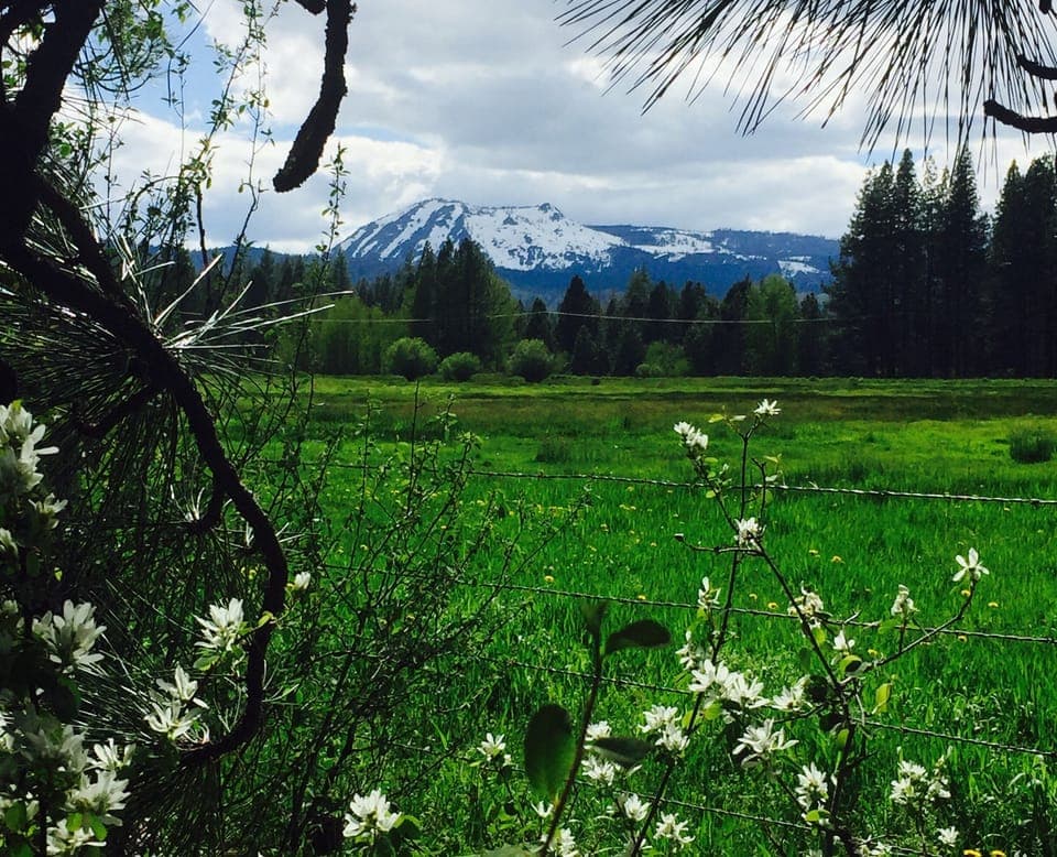 Meadow and mountain views outside Graeagle