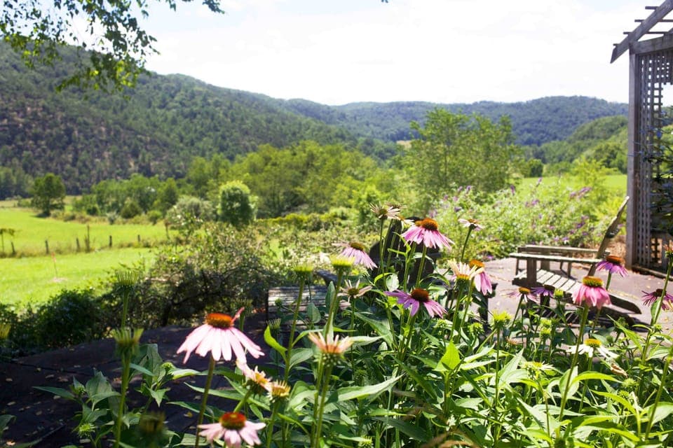 View from backyard