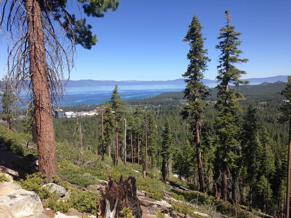 View of lake during summer from the Bi-State Park which is walking distance away