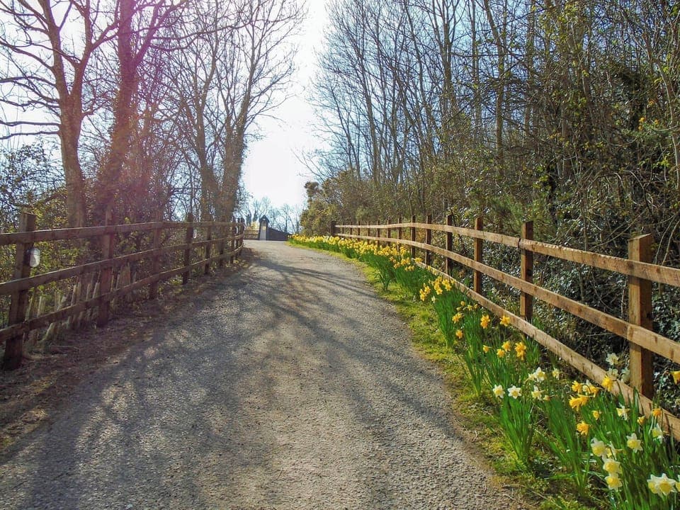 The driveway | The Lodge, Dyserth, near Prestatyn