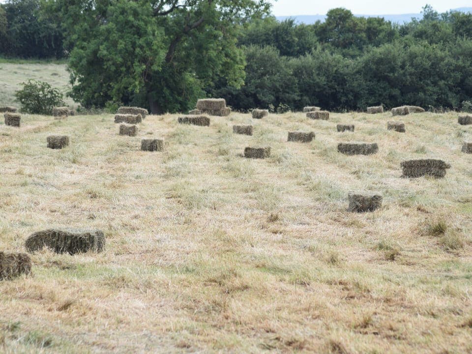 View | Grange Cottage, Ovington, near Richmond