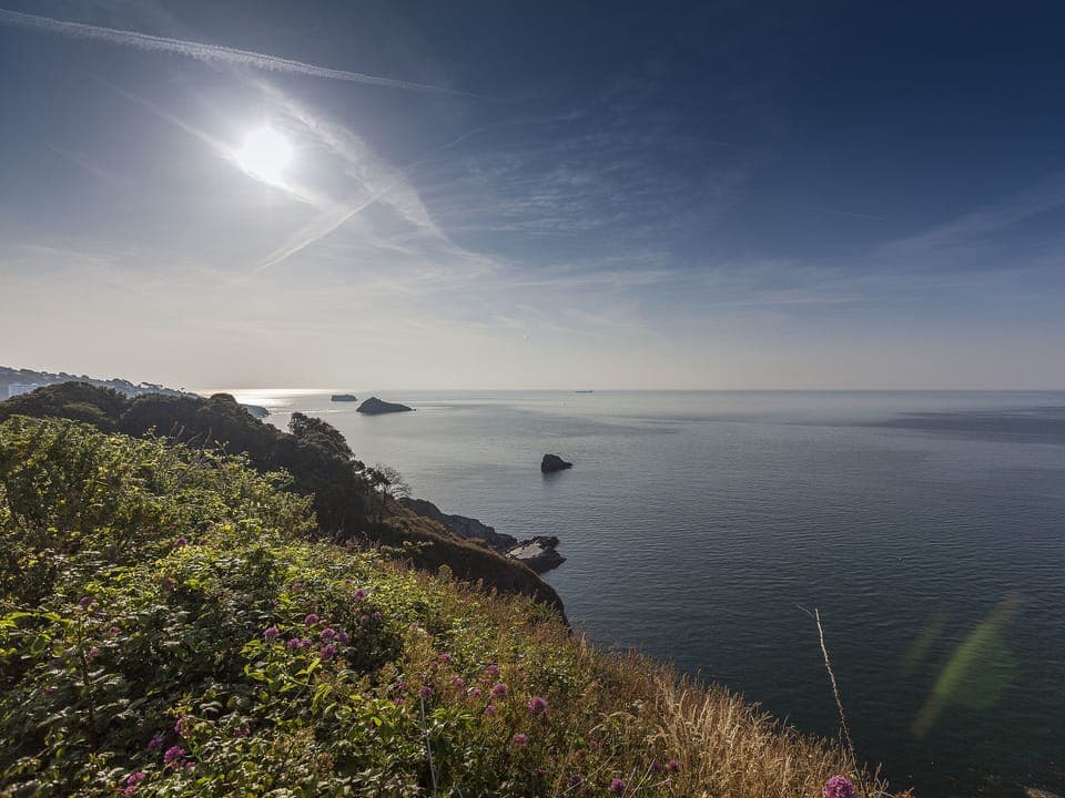 Surrounding area | 6 Torwood Gables - Torwood Gables, Torquay