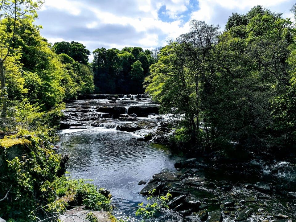 Aysgarth Falls. On one of the footpaths from the doorstep of the barn. 