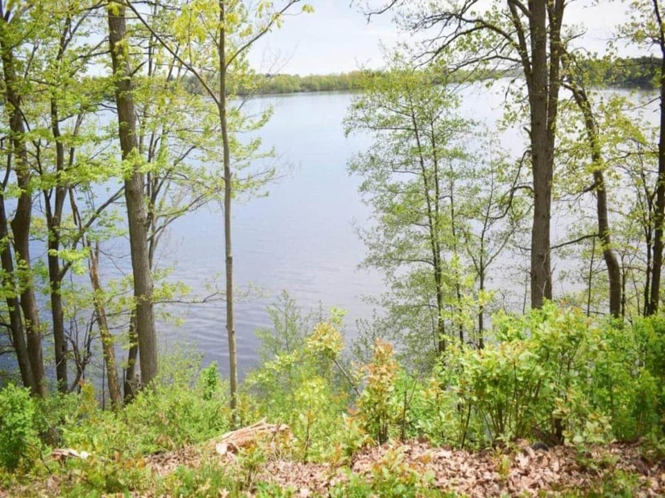 Region [summer] (>5 km)