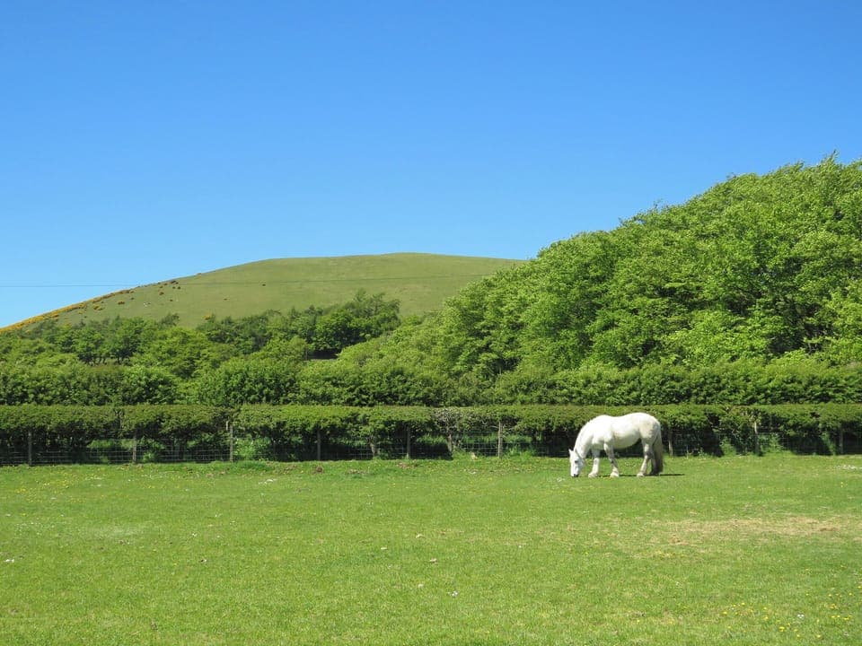 Surrounding area | Blueacres, Kilbucho, near Biggar