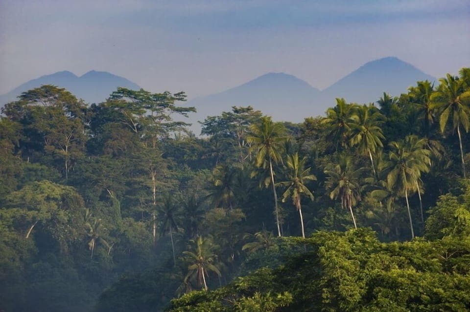 Bukit Naga Estate,Lux 7 Bed,Gianyar