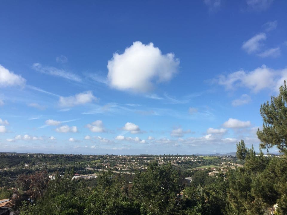 View from backyard