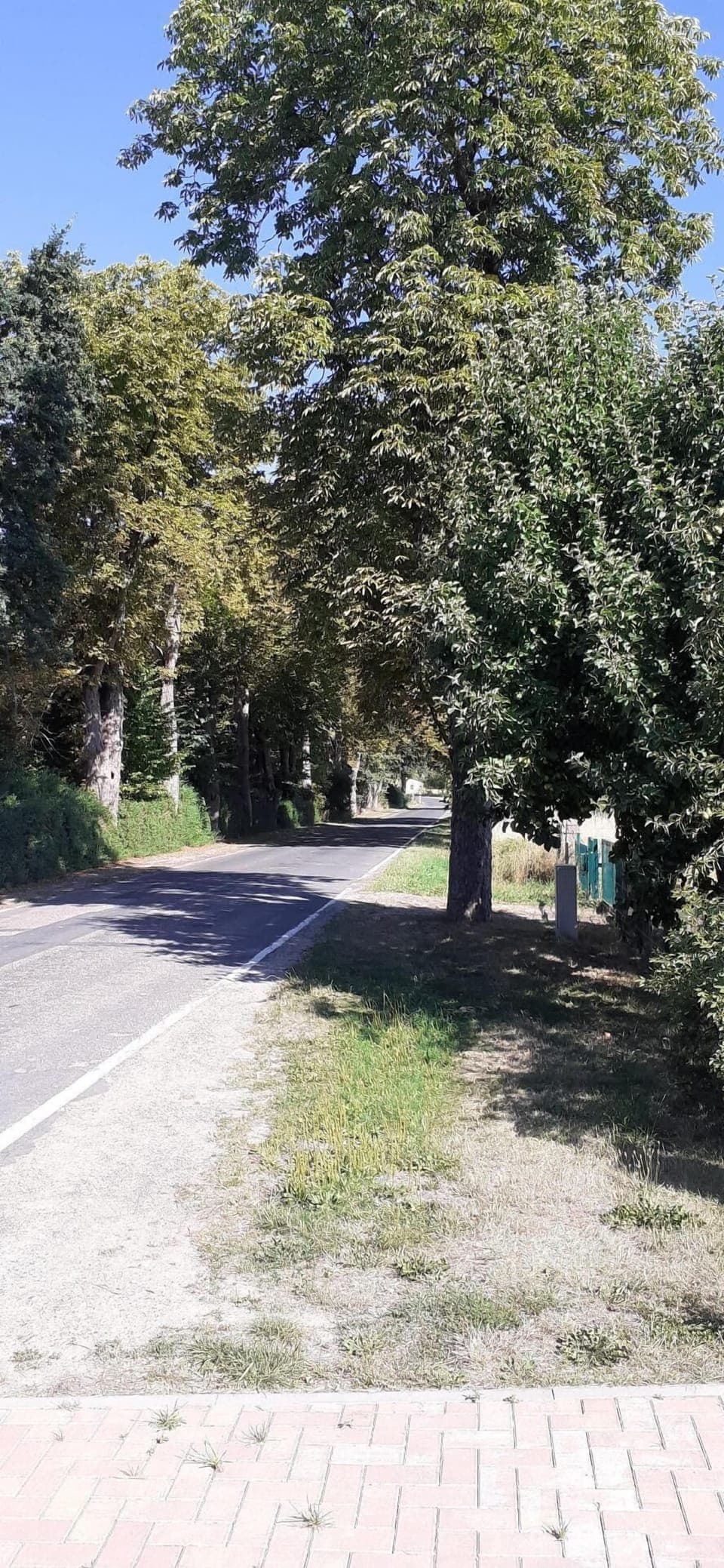 Area that directly surrounds the property