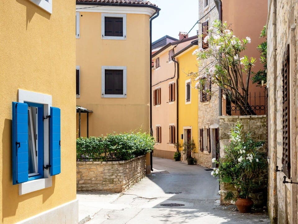 Plant, Window, Property, Building, Azure, Road Surface, Sky, Neighbourhood, House