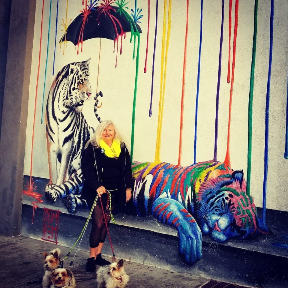 Witchery Creek Wines ( Downtown Carlsbad)