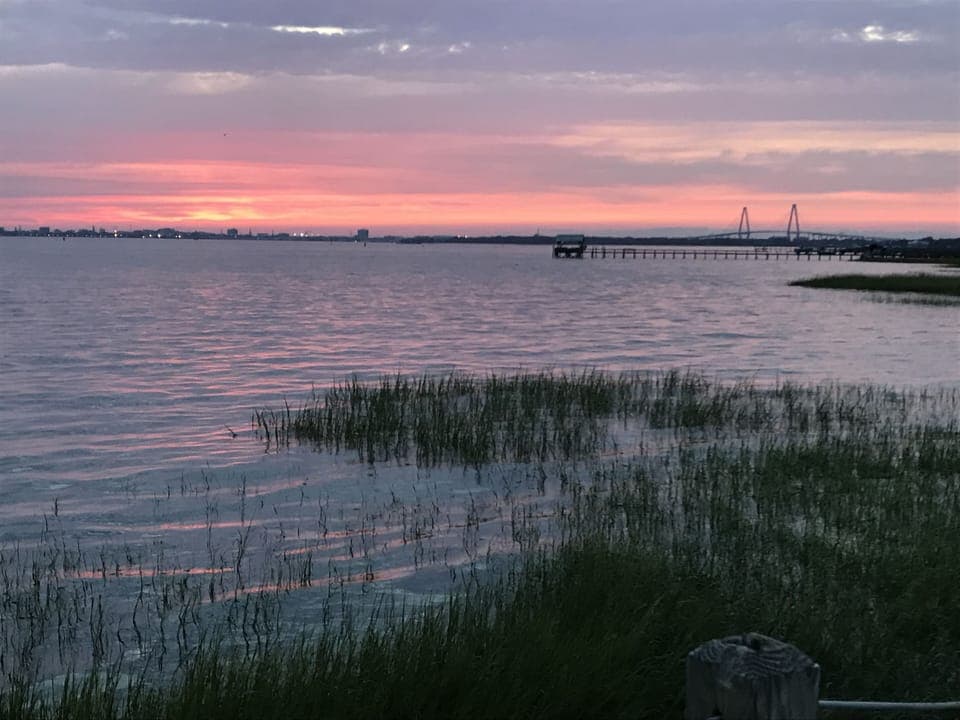 15 minute walk to Pitt street bridge for great views and amazing sunsets! 