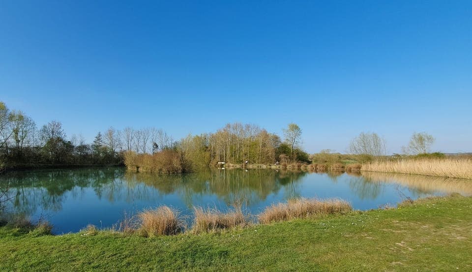 Carp fishing on site