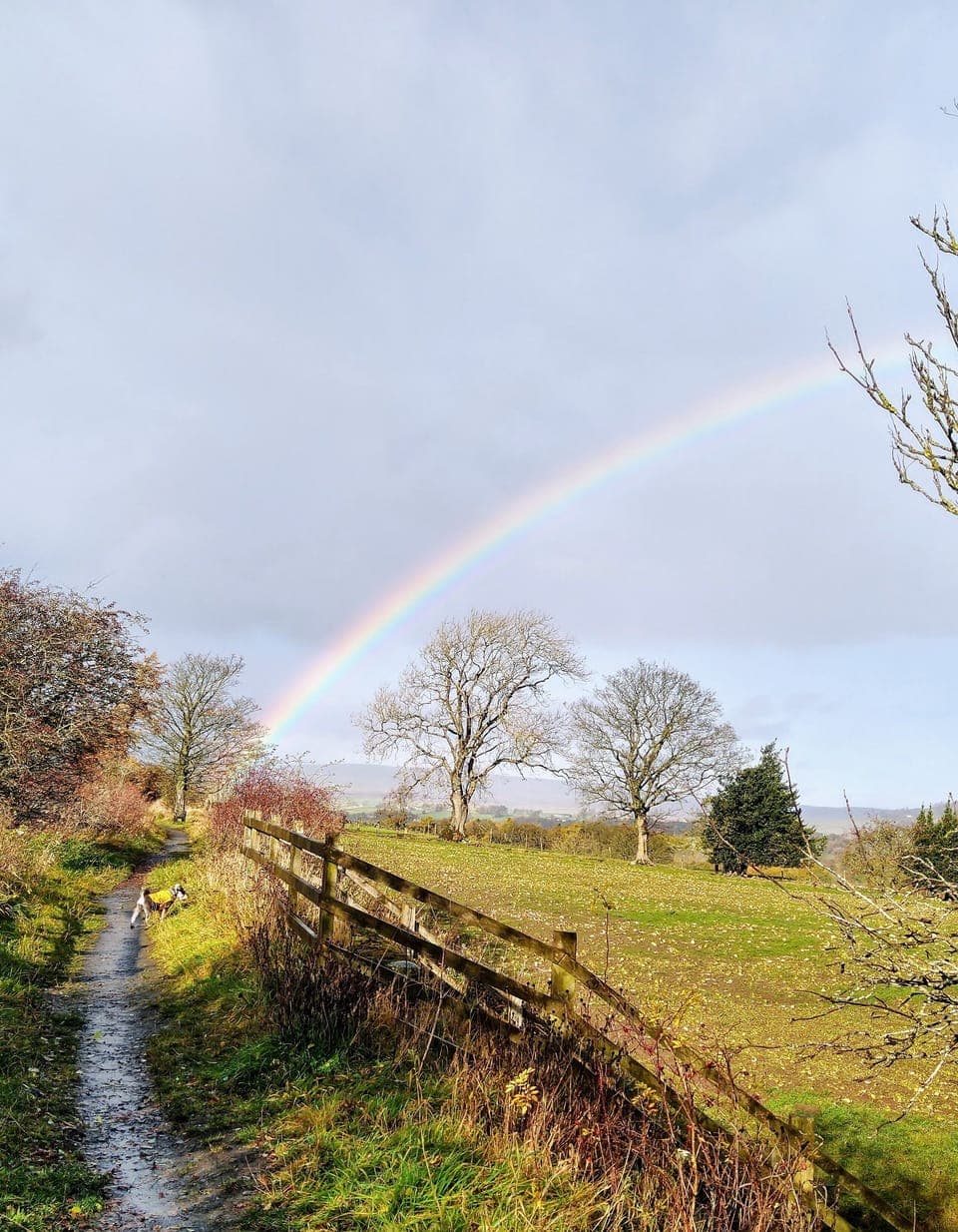 Romaldkirk railway path