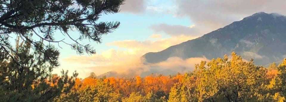 Fall