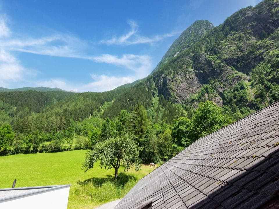 View from Holiday Home [summer]