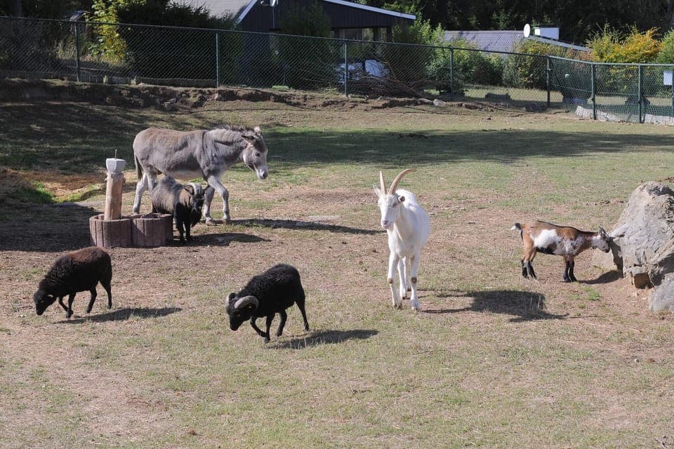 Holiday Park Facilities and Services 