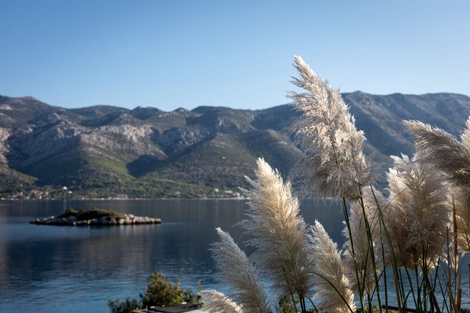 View of garden and Mulic island in front of proprty