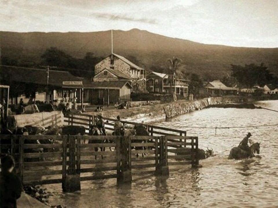 Visitors in early times engaging in ocean activities.