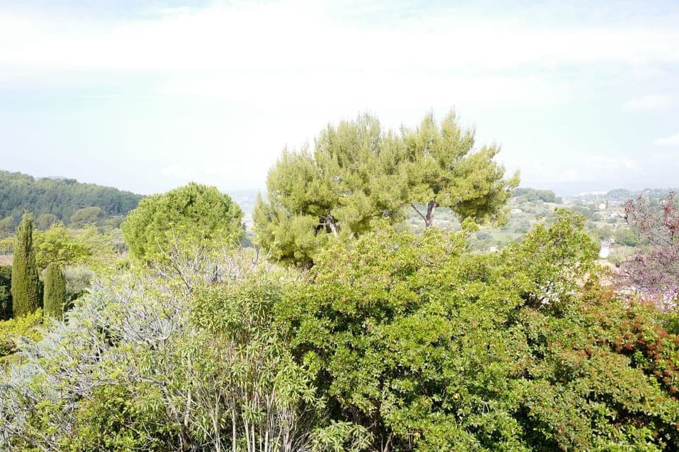 One of the views from Villa 13