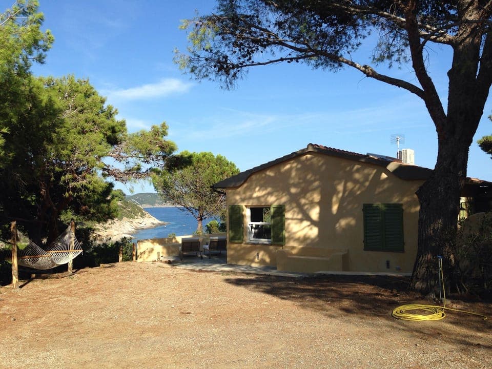 View arriving from the private road in the wood