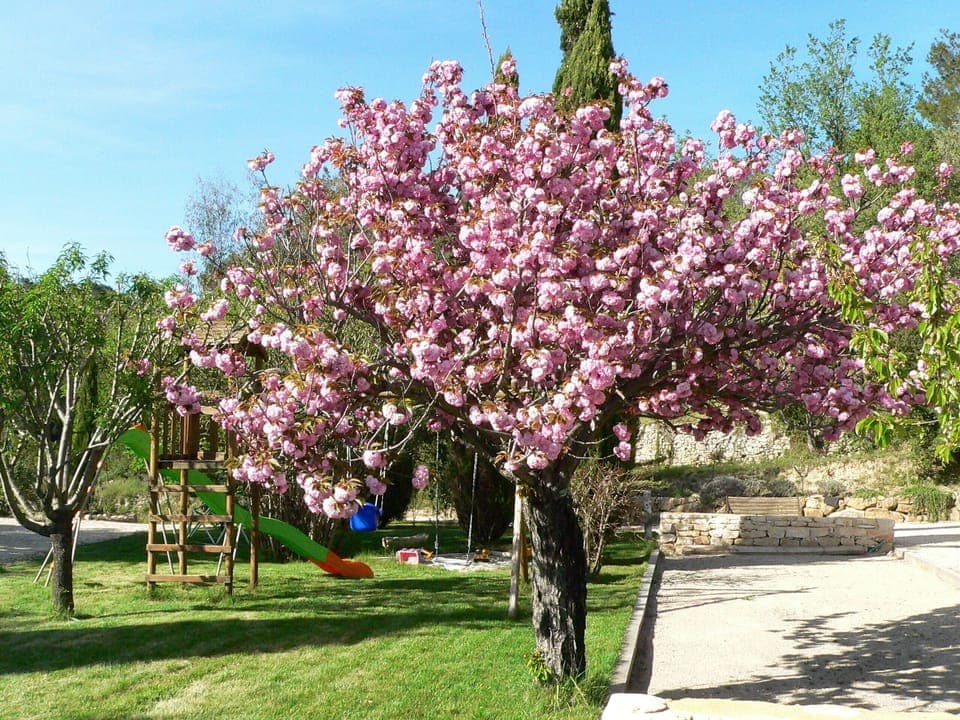 Petanque boule pitch, children playground