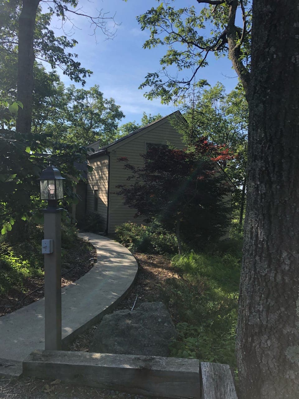 Path from driveway, heading to front door 