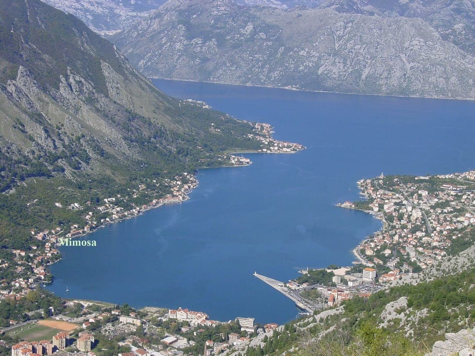 View of Kotor Bay and Mimosa