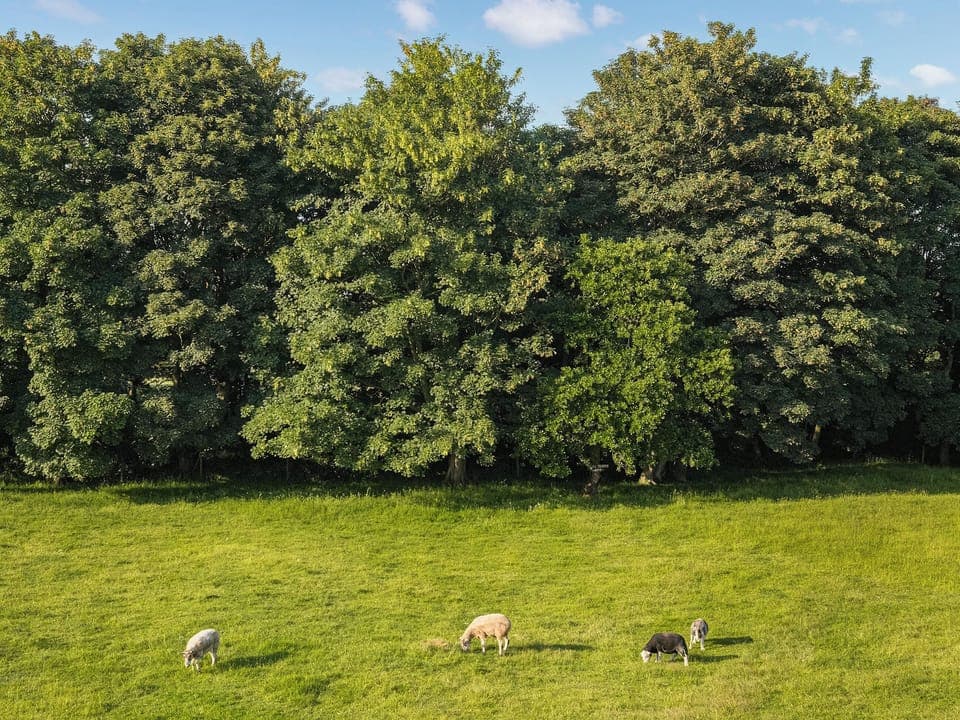 Wonderful views across meadow land | Meadow View, North Walsham