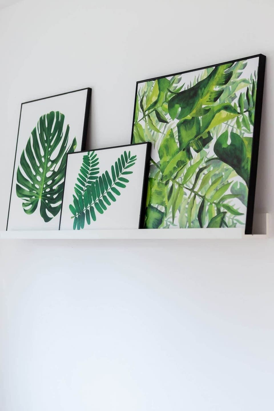 A close-up of framed leaf artwork on a wall, adding a natural touch to the decor.