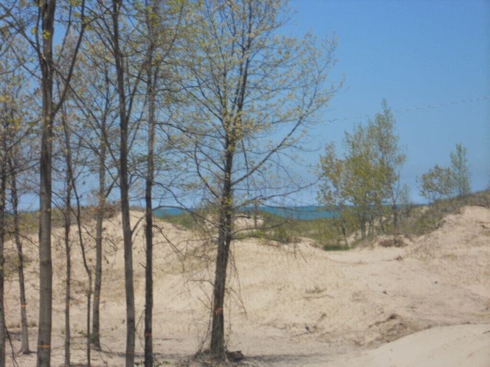 Beach- View from Washington Park - Shoreline is about 700 feet walk from house.